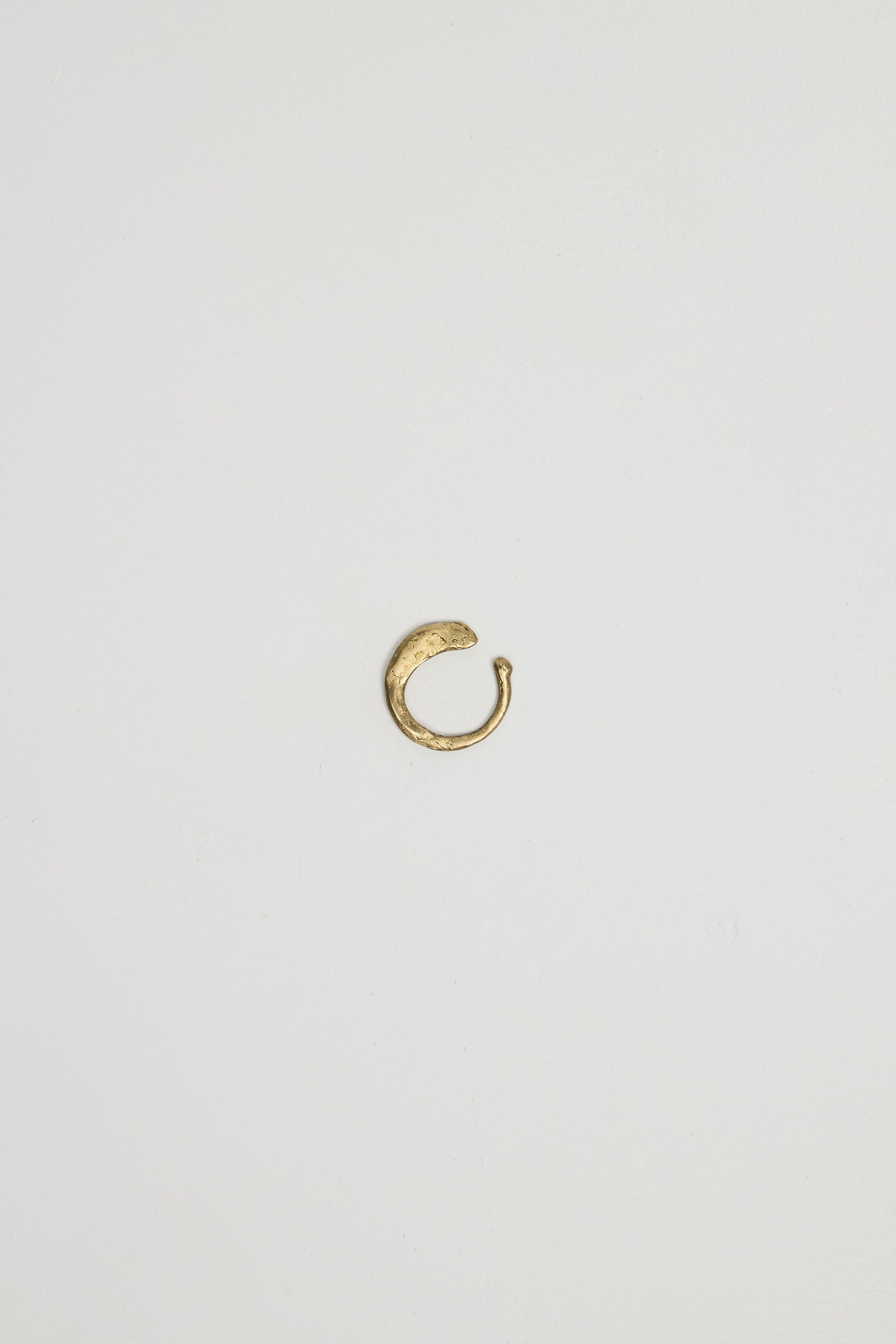 Fetus Ring